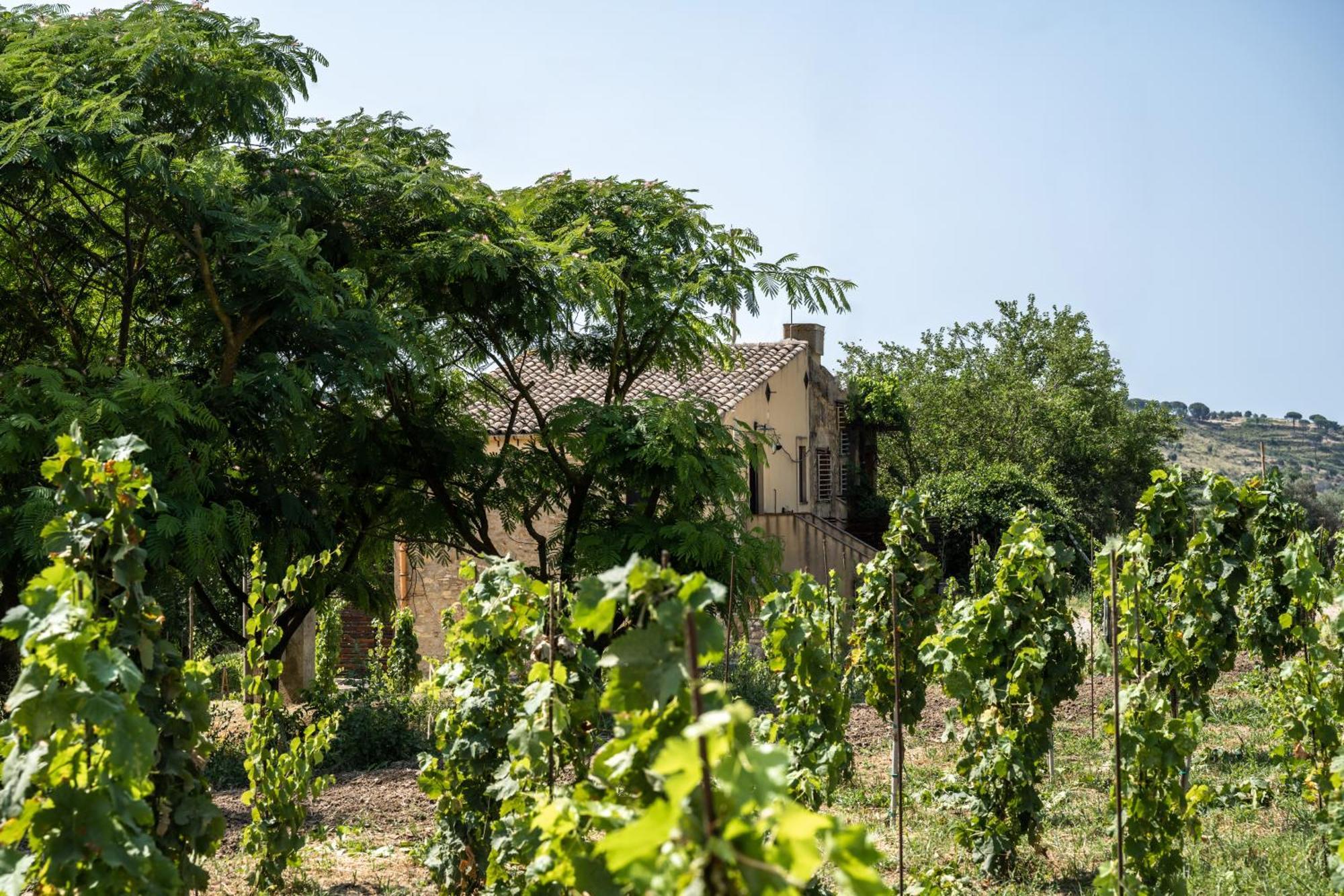 Cottage Immerso Nel Vigneto Caltagirone Buitenkant foto