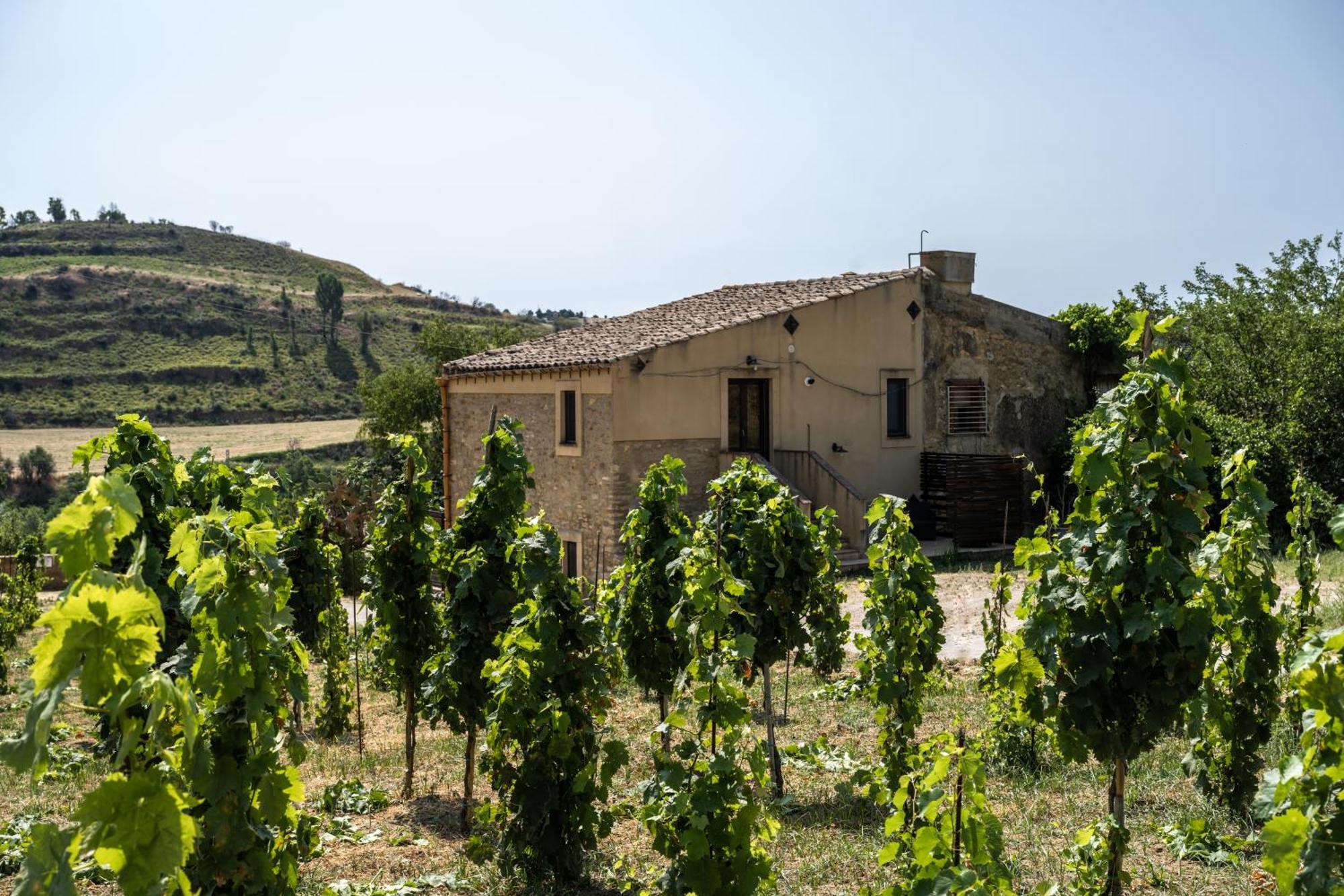 Cottage Immerso Nel Vigneto Caltagirone Buitenkant foto